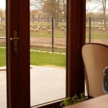 Stille, Aussicht Und Kunst Am Archaeologischen Park ホームステイ